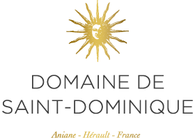 image logo domaine de saint-dominique